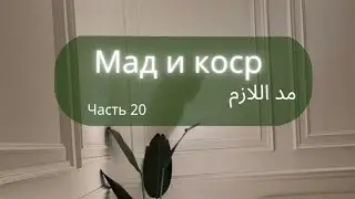 обязательный мадд