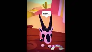 Goodbye to a world…. -Desert Pets 