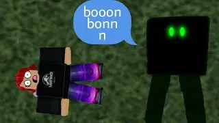 um hack empurou eu no roblox