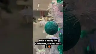 Mila is ready for Christmas, are you too? 🎄🎁  #eurolite #futurelight #omnitronic #europalms