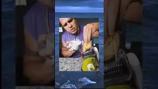 #food #приколы #funnymoments #shortvideo