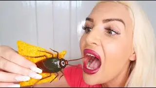 Roach In My Doritos!!