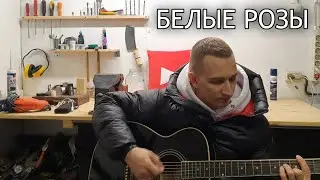 Белые Розы на Гитаре ( Кавер 2024 - Спел от души )