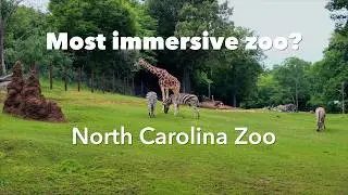 Most Immersive Zoo? North Carolina Zoo