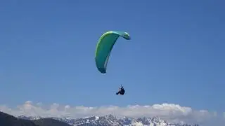 Vol de printemps, en Sud, à Camurac site de Montpié