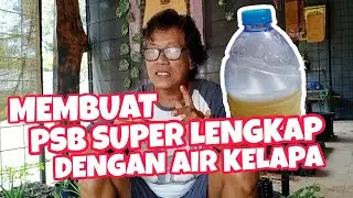 Membuat PSB Super Lengkap Dengan Air Kelapa