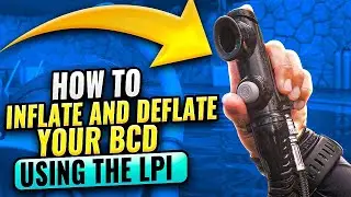 Scuba Diving Skills: How to Inflate and Deflate your BCD Using the LPI | Scuba Equipment 101