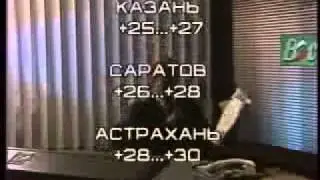 Рубрика 