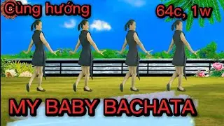 🍁MY BABY BACHATA 🌷// CÙNG HƯỚNG  (64C-1W - RẤT ĐẸP  )
