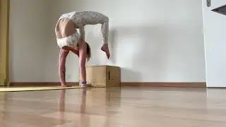 Wall Contortion Conditioning Training - Yoga and Fitness with Rhyanna
