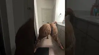ItsWynter 2 Min Ass Clapping | Compilation