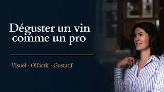 Comment déguster un vin comme un pro: visuel, olfactif et gustatif (guide complet de la dégustation)