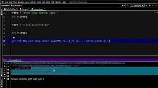Escape character in python
