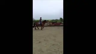 Jumping course on Penny - Raw Video