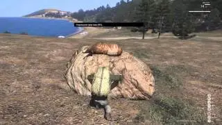 Altis Life: охота, гайд