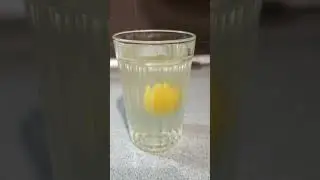 Домашняя лаборатория. 9 класс