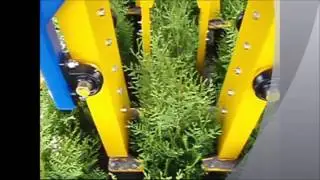Volautomatische Boor /  Snoei / Steekmachine