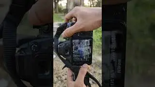 outdoor photoshoot with Nikon camera #shorts #youtubeshorts #photography #nikoncamera