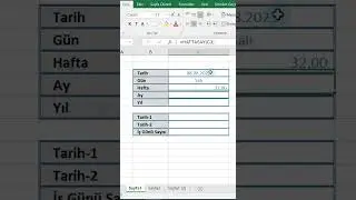 Tarih Biçimleri, Hangi gün, Hangi Ay, Kaçıncı Hafta, Hangi Yıl #shorts #excel #excelegitim