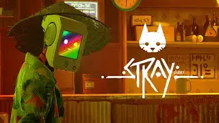 МОМО И АУТСАЙДЕРЫ | Stray #3