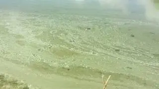 Хотел искупнуться, но не тут то было