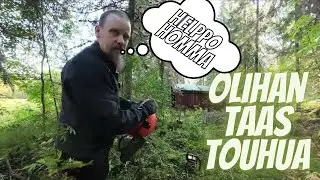 Eihän se onnistu | Se HELPPO syksyn ensimmäinen puunkaato 😅