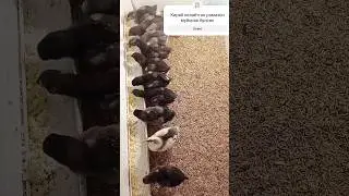 10 марта 2024 г.