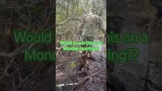 That’s how last Monday morning went. Walking through the Swamp 🐊😩 Should I start back vlogging??