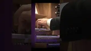 Органный вечер в соборе. Париж и Лейпциг. Играет Тарас Багинец (Екатеринбург)24 мая, 