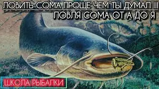 WHERE? HOW? WHAT WITH? KNOW THIS to catch CATFISH from the shore! Catching CATFISH is easy!!! CAT...
