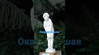 Чудеса скульптурного мастерства 