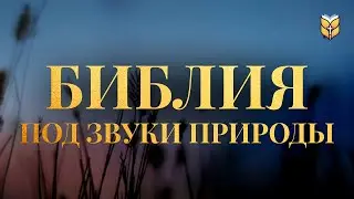 Библия под звуки природы. Современный перевод Библии #biblevision