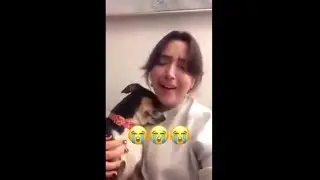 Emotional Dogs Giving Back Love 😘
