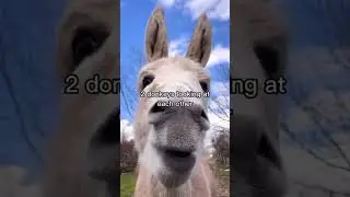 Memes cuz it’s July 