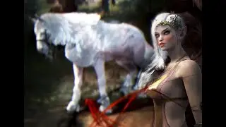 🔥Black Desert Online - Dream Horse t9🔥