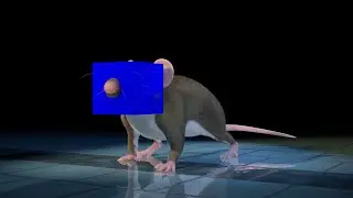 NEW MOUSE + MLG HACKER REPORT