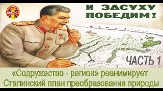 ПОСАДКА ЛЕСОПОЛОС в 