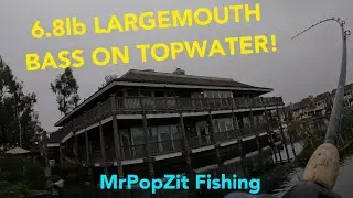 I catch a giant largemouth bass from under a building on a whopper Plopper topwater bait