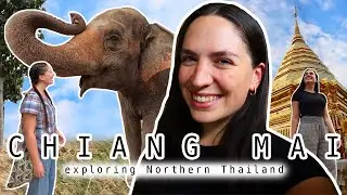 THINGS TO DO IN CHIANG MAI 🇹🇭 (Northern Thailand vlog)