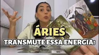 ♈️ÁRIES Você Está No Fluxo Da Abundância! Blinde-se Contra Essa Negatividade!