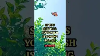 SAY YES!