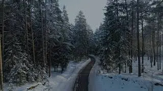 Зима пришла...