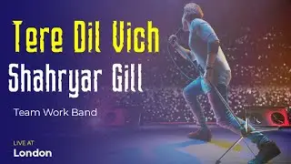 Tere Dil Vich Rahana | Shahryar Gill | Zoya Khan | Team Work | Unplugged