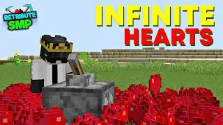 I Got Infinite Hearts Using This illegal Glitch in This Lifesteal SMP | Retribute SMP S2