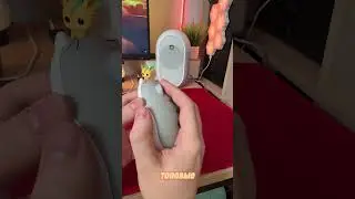 ИГРА В КОШКИ-МЫШКИ 