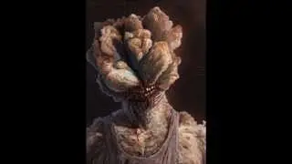 lobotomy incision-human cordeceps
