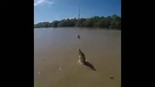 Untitled video