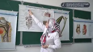 Занятие по анатомии в МКиБ