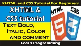 HTML Code for Bold and Italic Text || Text Color and Comment in HTML ||  HTML Tutorial for Beginners