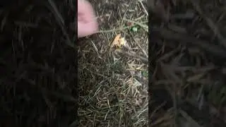 #funny